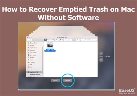 How to Recover Emptied Trash on Mac Without Software: A Journey Through Digital Archaeology