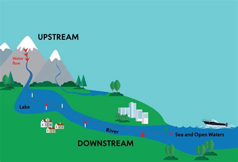 What is Upstream and Downstream in Software: A Journey Through Code Rivers and Digital Deltas